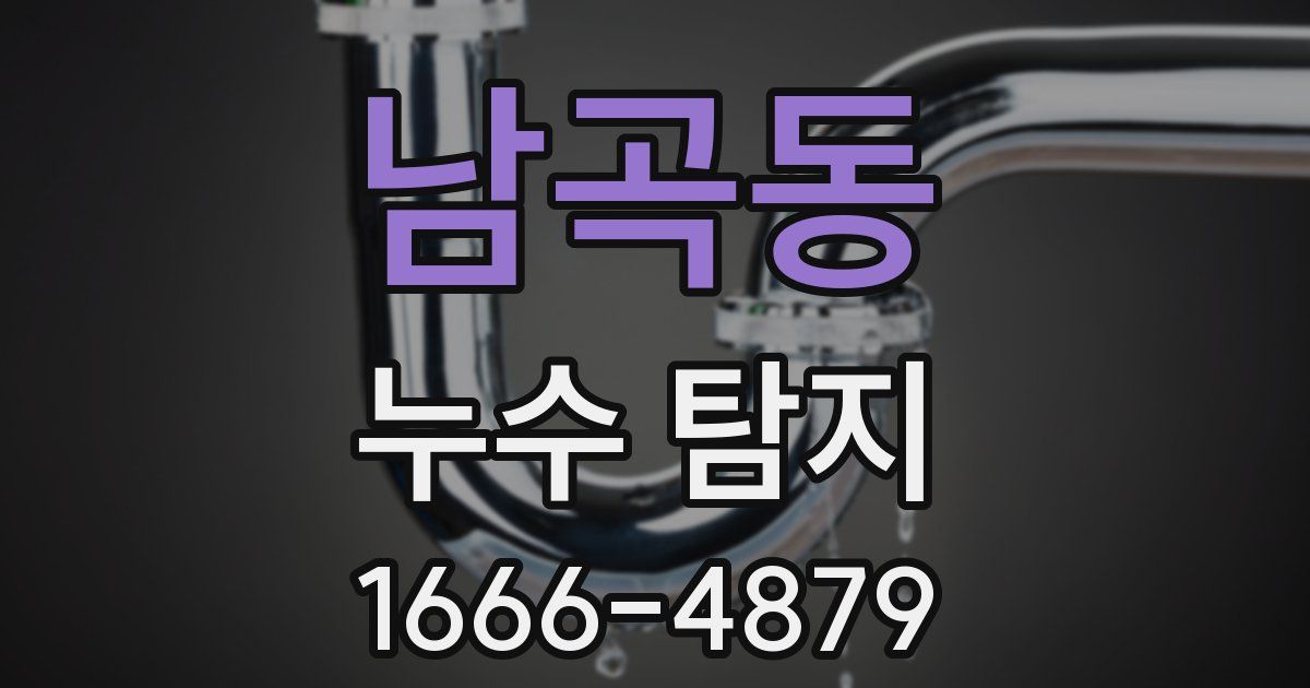 남곡동 누수 탐지