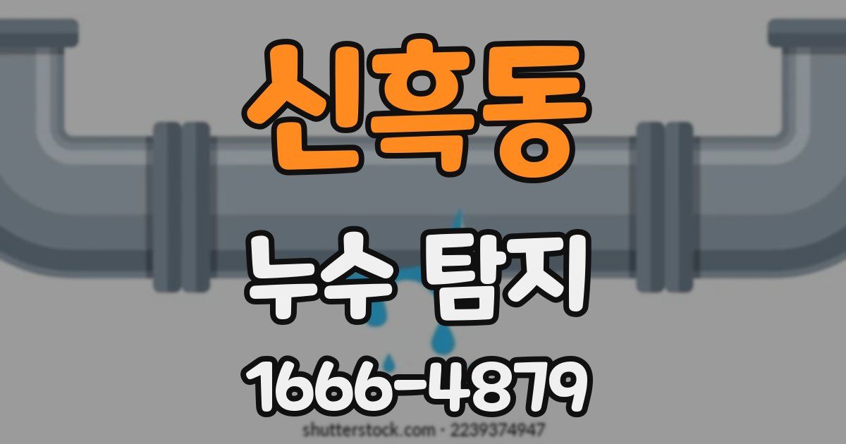 신흑동 누수 탐지