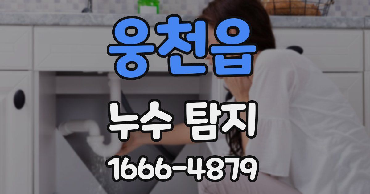 웅천읍 누수 탐지