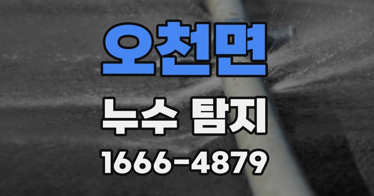 오천면 누수 탐지