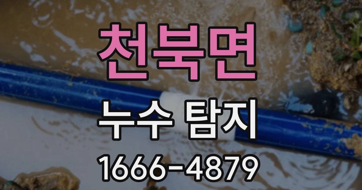 천북면 누수 탐지