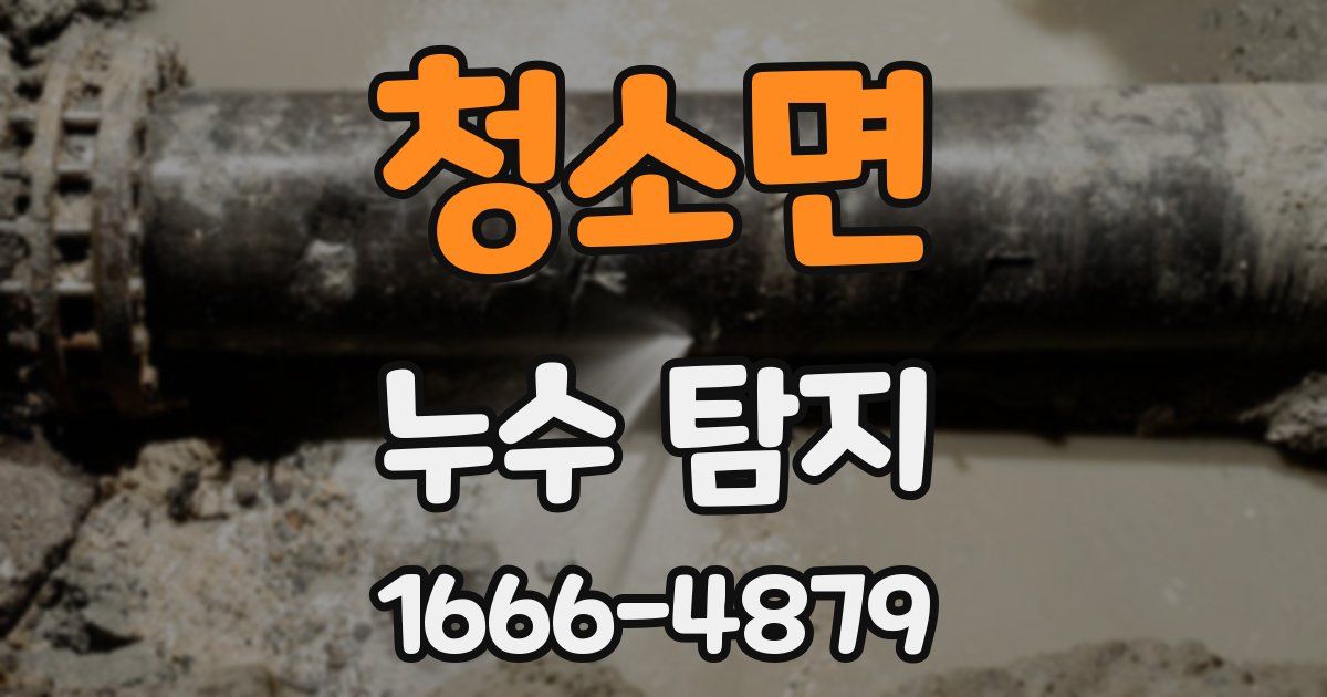청소면 누수 탐지