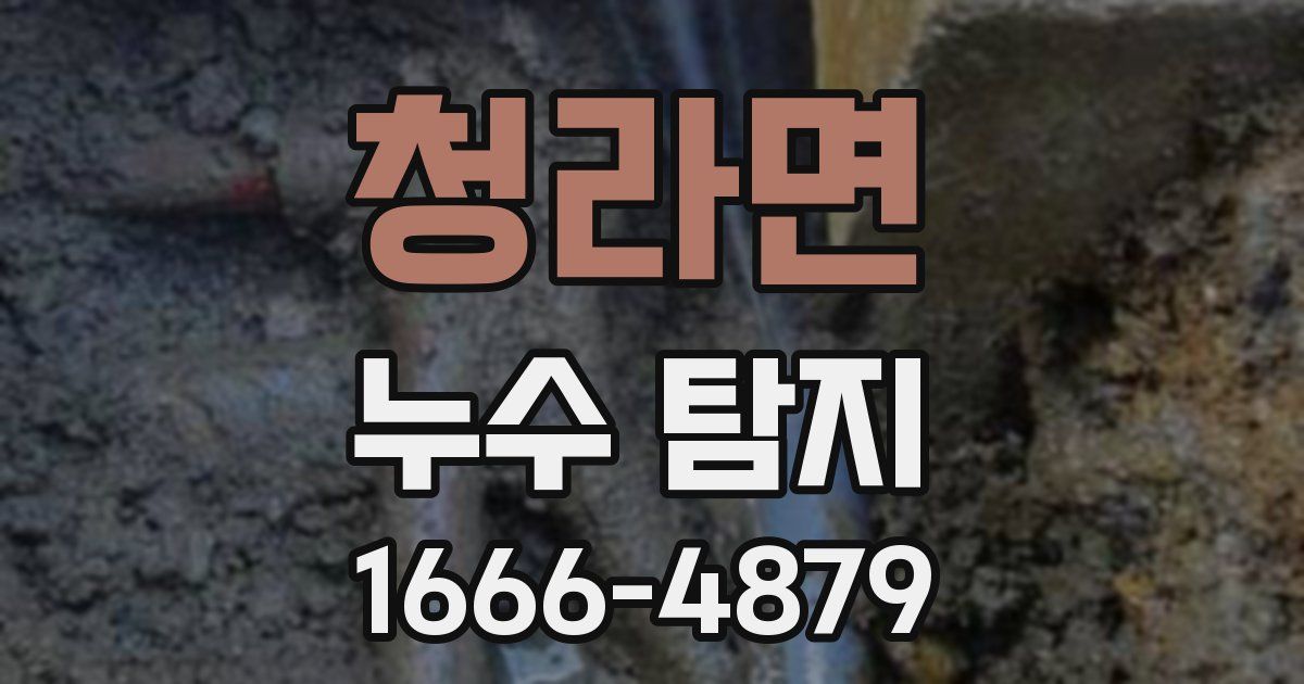 청라면 누수 탐지