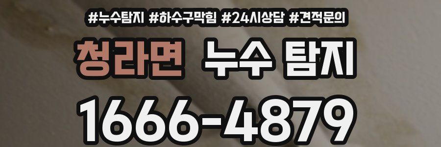 청라면 누수 탐지
