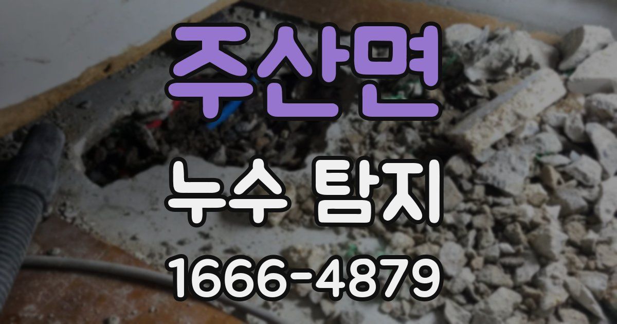 주산면 누수 탐지