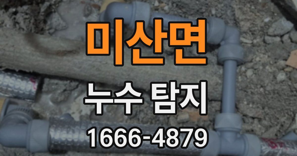미산면 누수 탐지