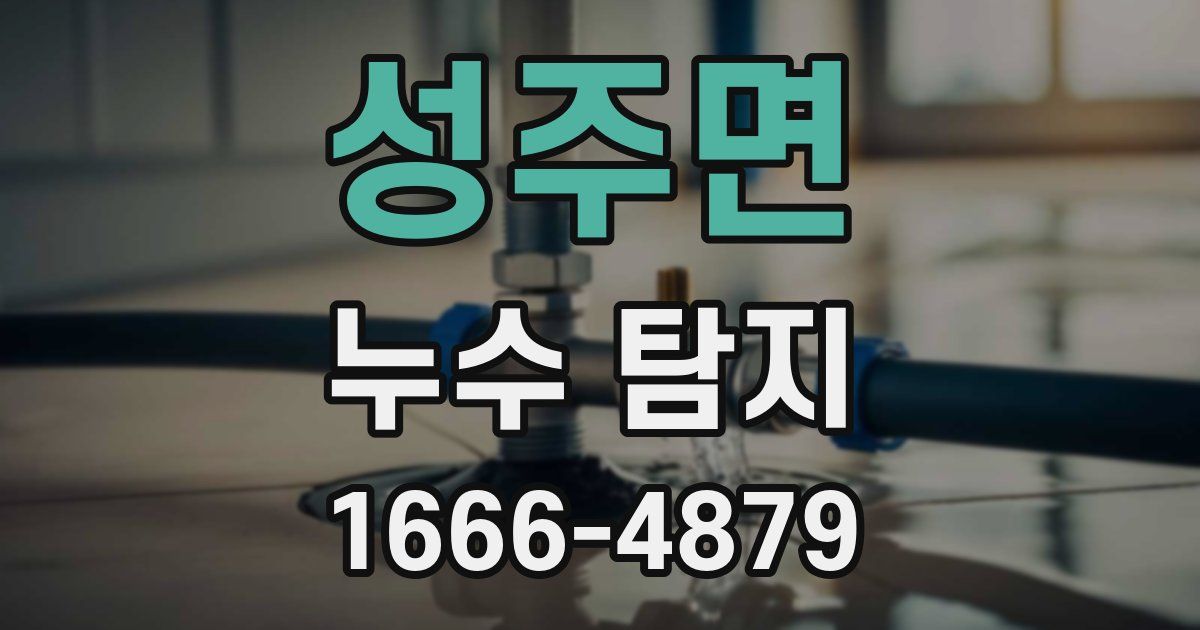 성주면 누수 탐지