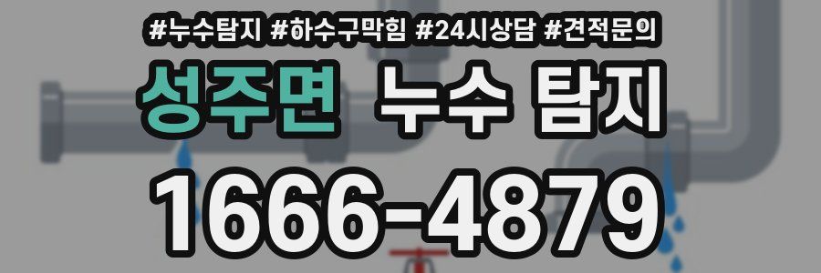 성주면 누수 탐지