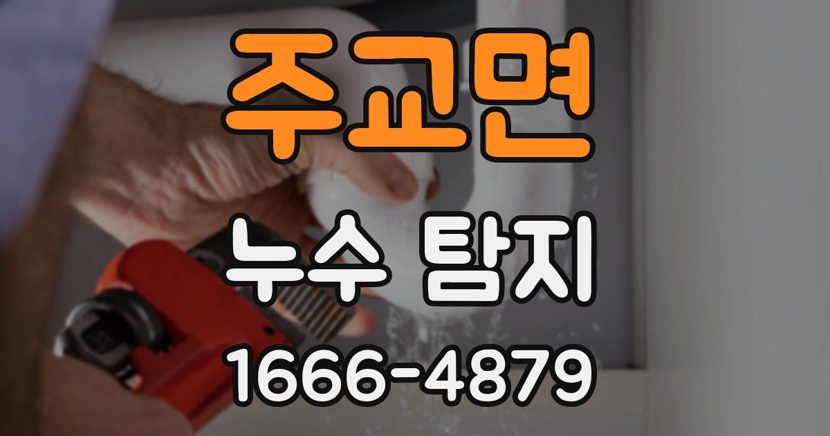 주교면 누수 탐지