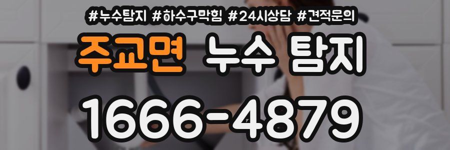 주교면 누수 탐지