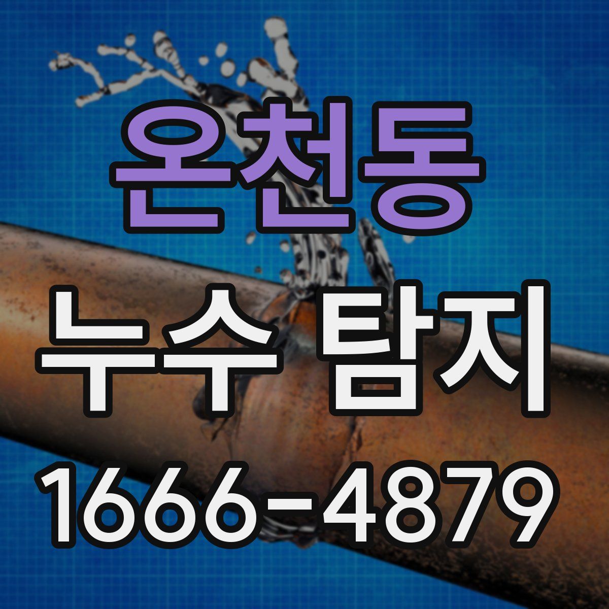 온천동 누수 탐지