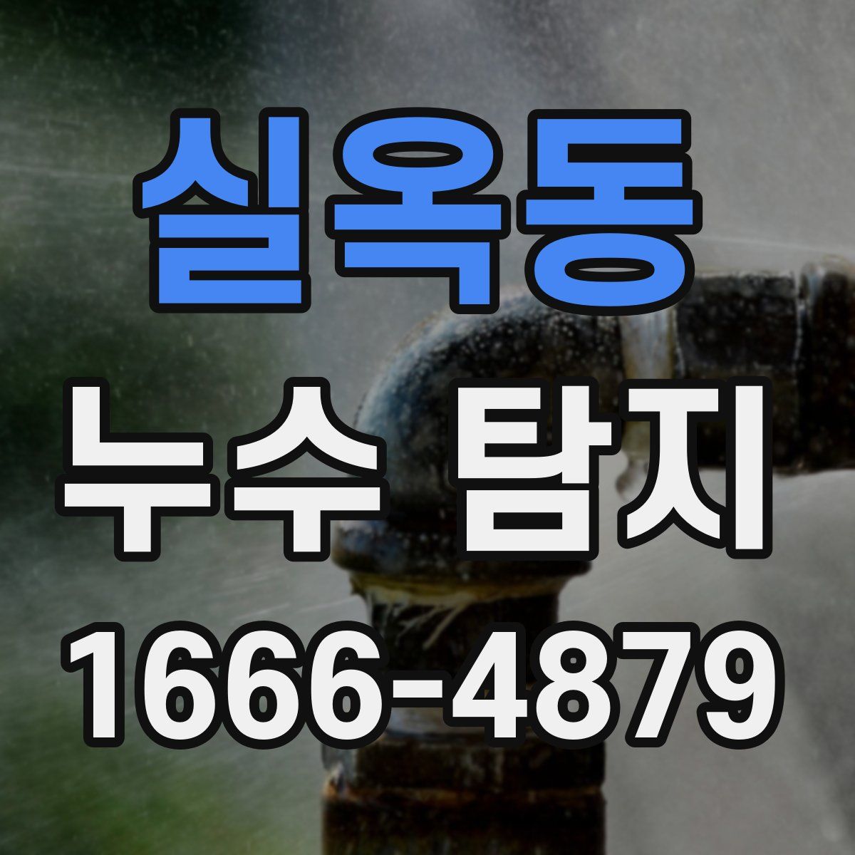 실옥동 누수 탐지