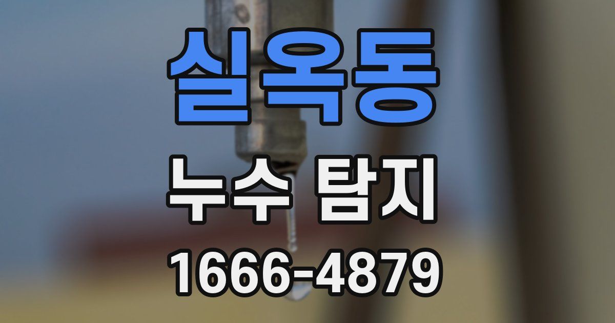 실옥동 누수 탐지
