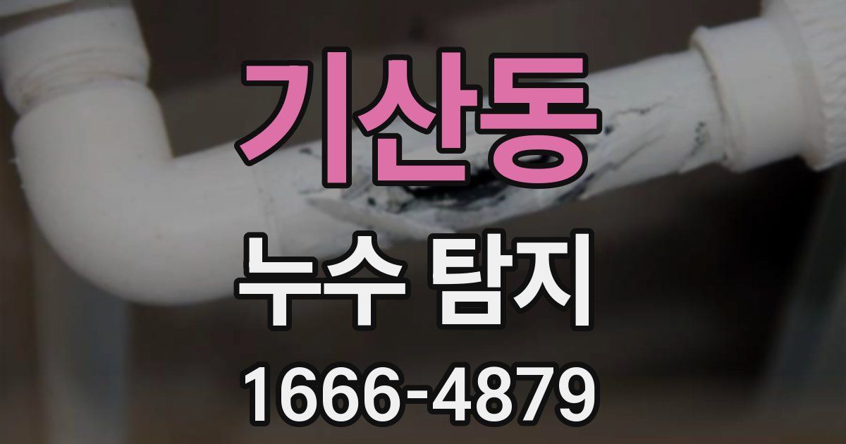 기산동 누수 탐지