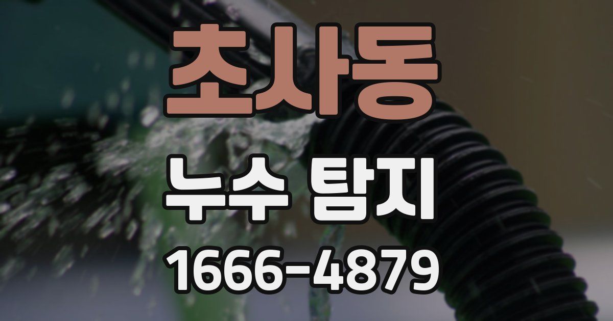 초사동 누수 탐지