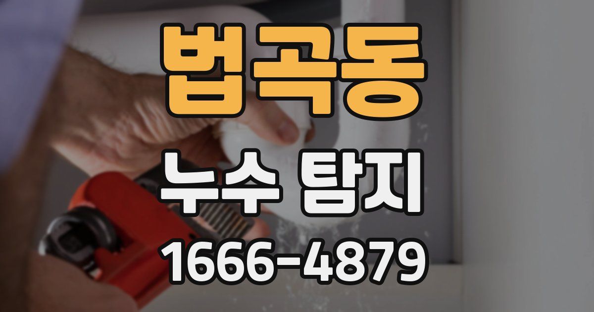 법곡동 누수 탐지