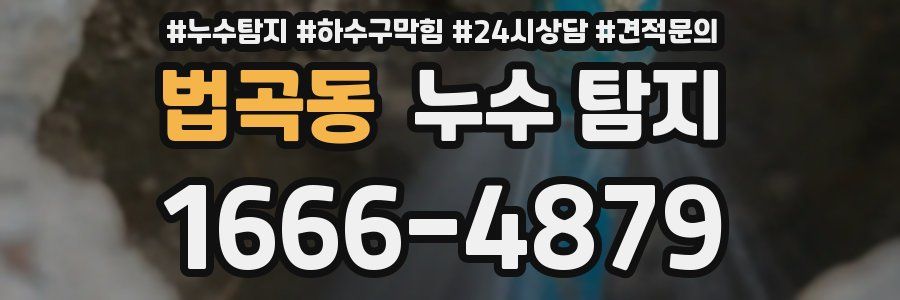 법곡동 누수 탐지