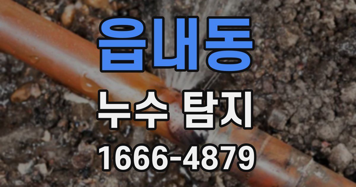 읍내동 누수 탐지