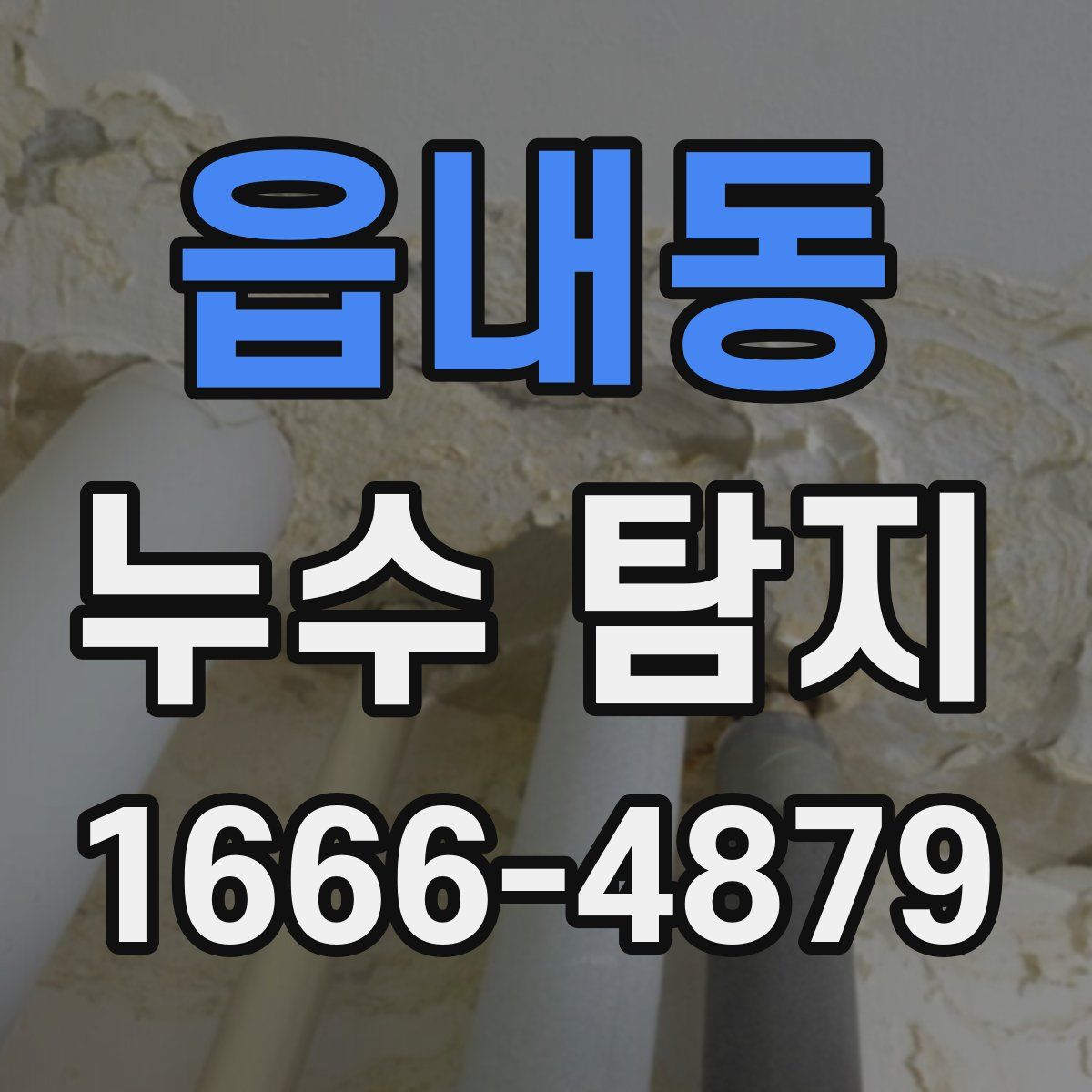 읍내동 누수 탐지
