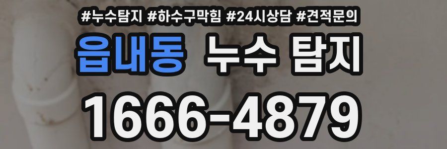 읍내동 누수 탐지