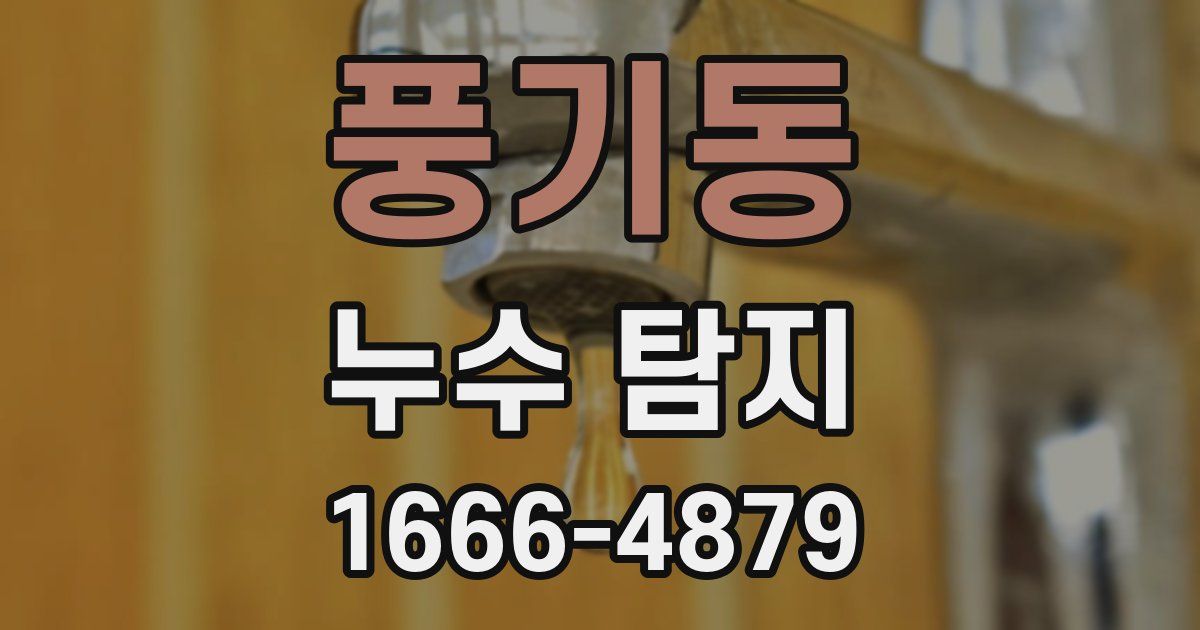 풍기동 누수 탐지