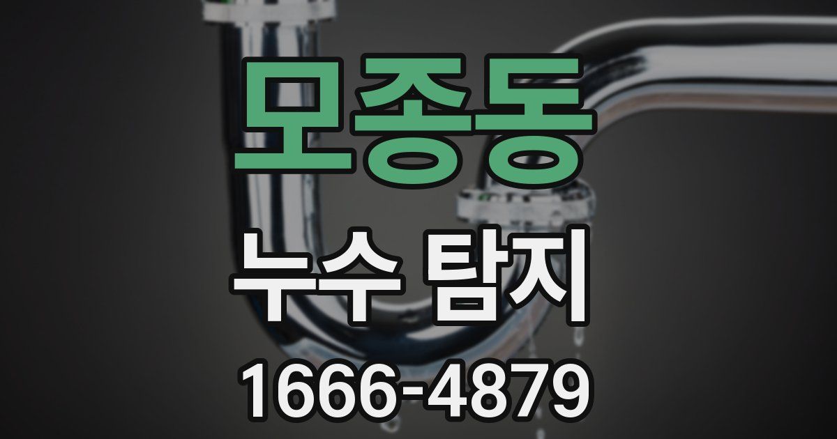 모종동 누수 탐지