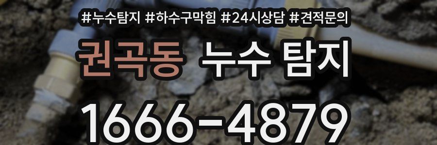 권곡동 누수 탐지