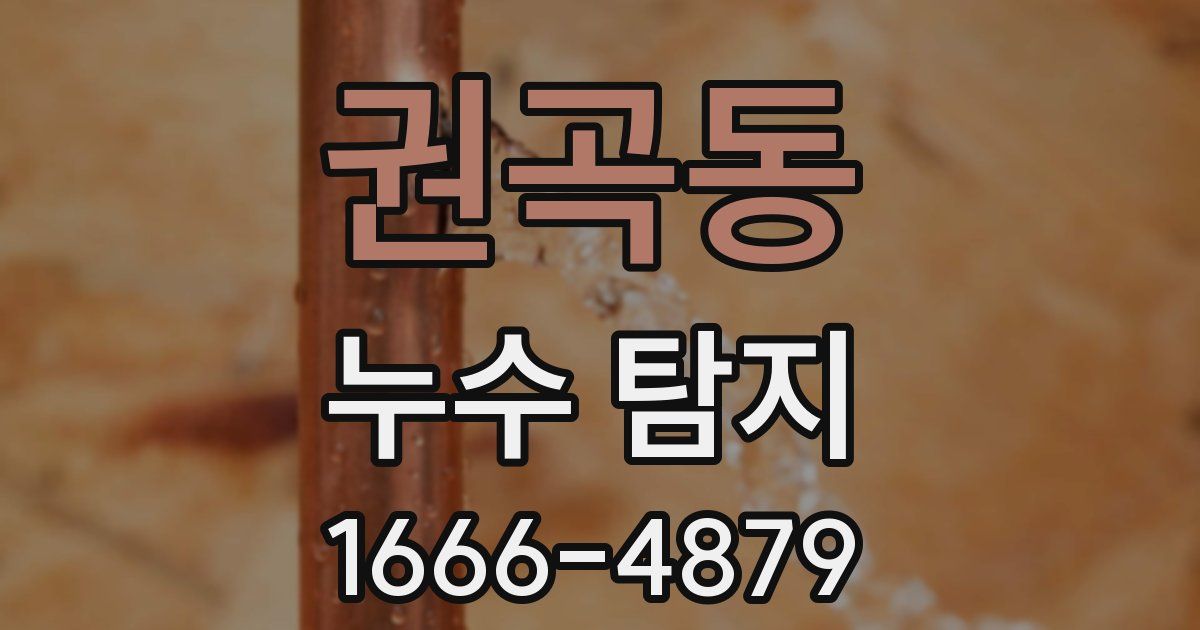권곡동 누수 탐지