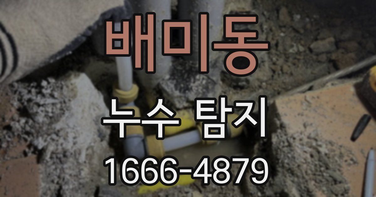 배미동 누수 탐지