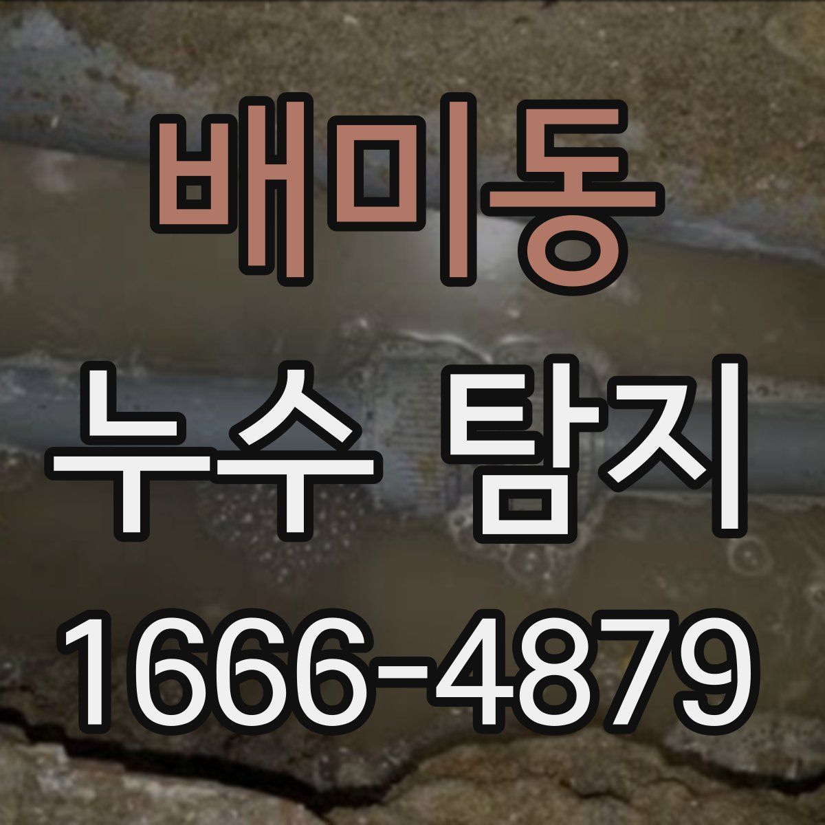 배미동 누수 탐지