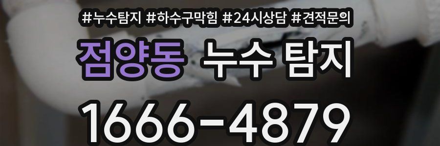 점양동 누수 탐지