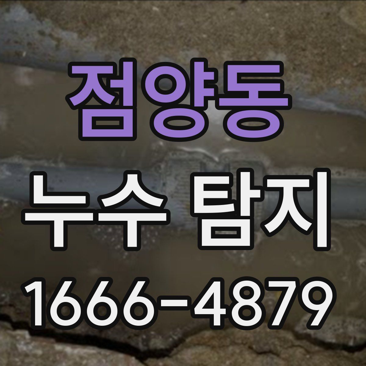 점양동 누수 탐지