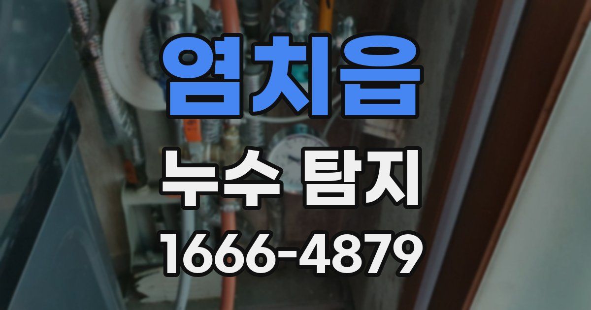 염치읍 누수 탐지