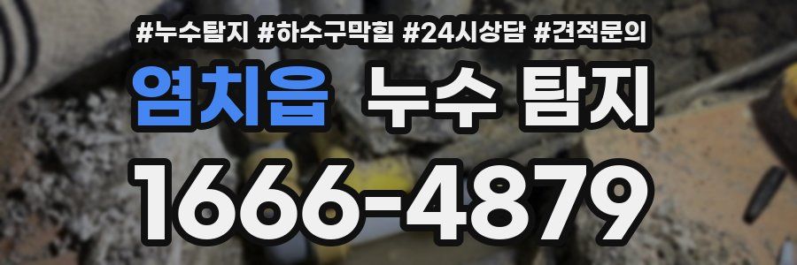 염치읍 누수 탐지