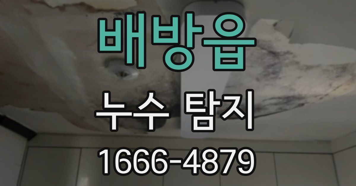 배방읍 누수 탐지