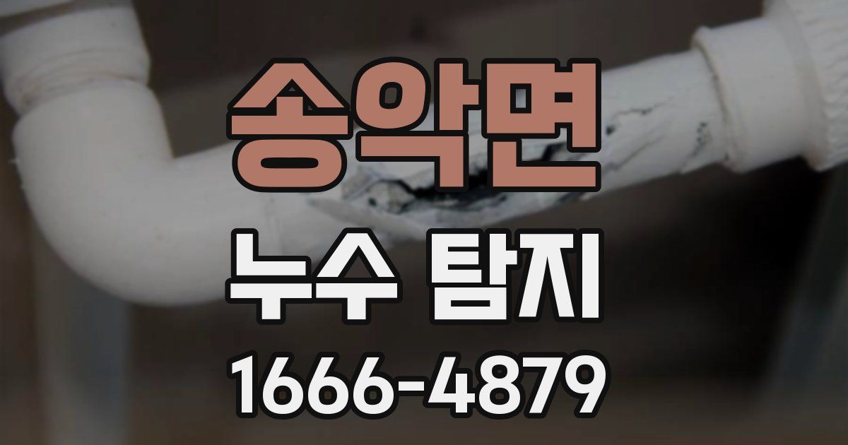 송악면 누수 탐지