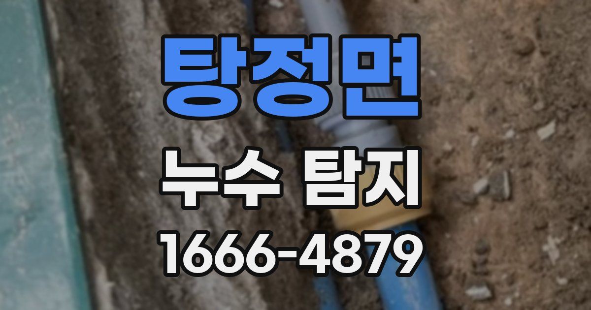 탕정면 누수 탐지