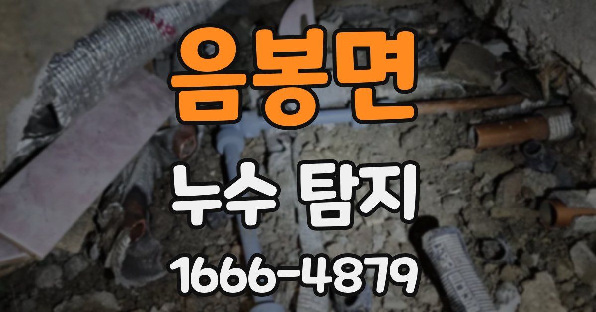 음봉면 누수 탐지