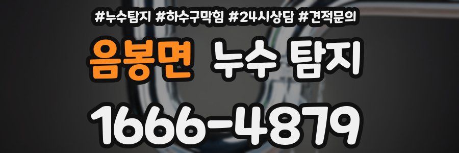 음봉면 누수 탐지