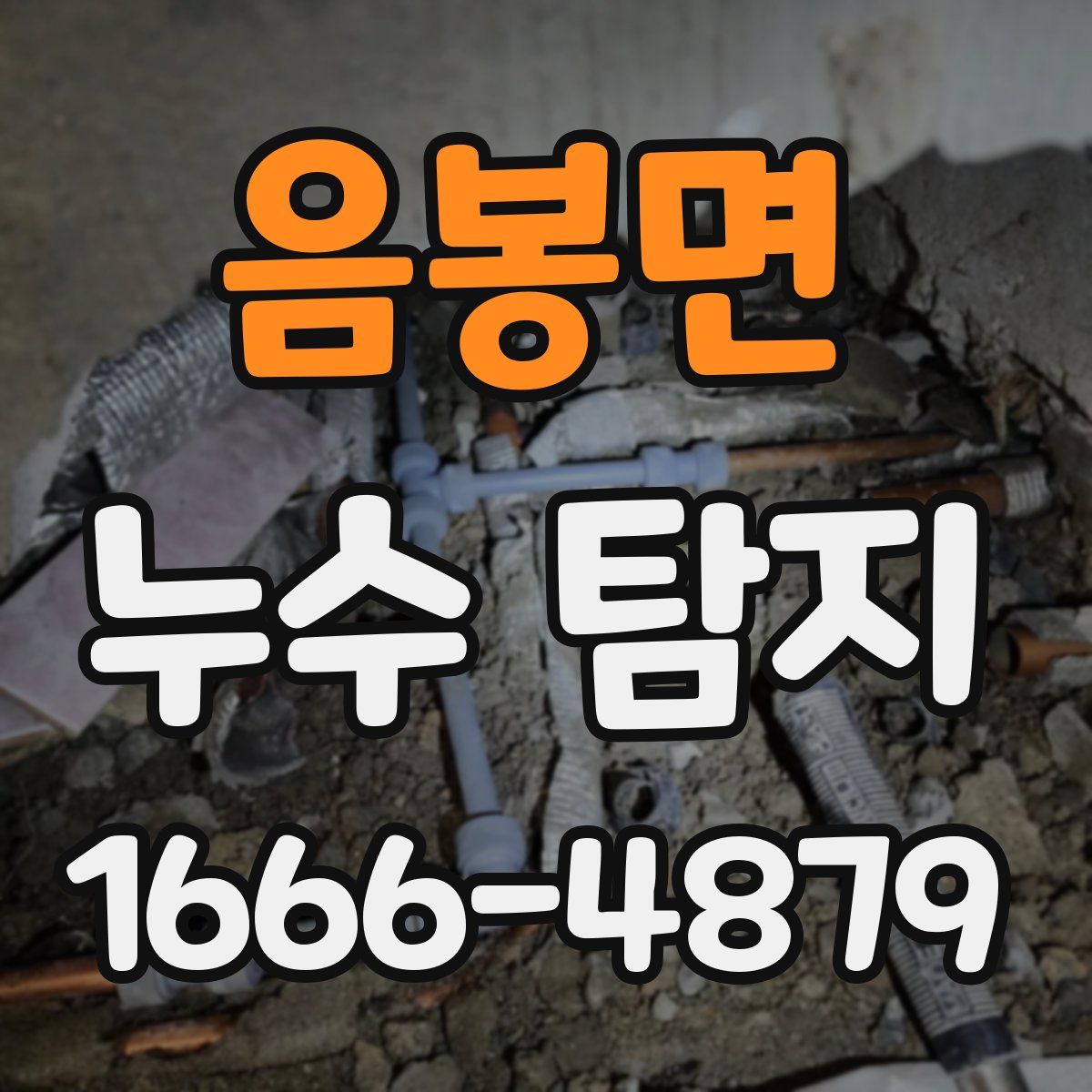 음봉면 누수 탐지