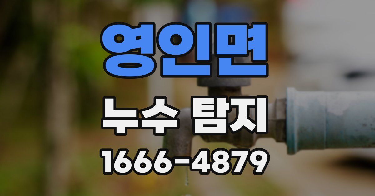 영인면 누수 탐지