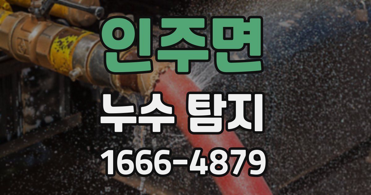 인주면 누수 탐지