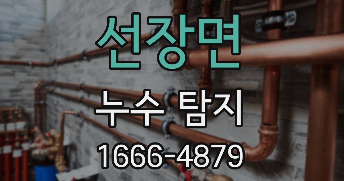 선장면 누수 탐지