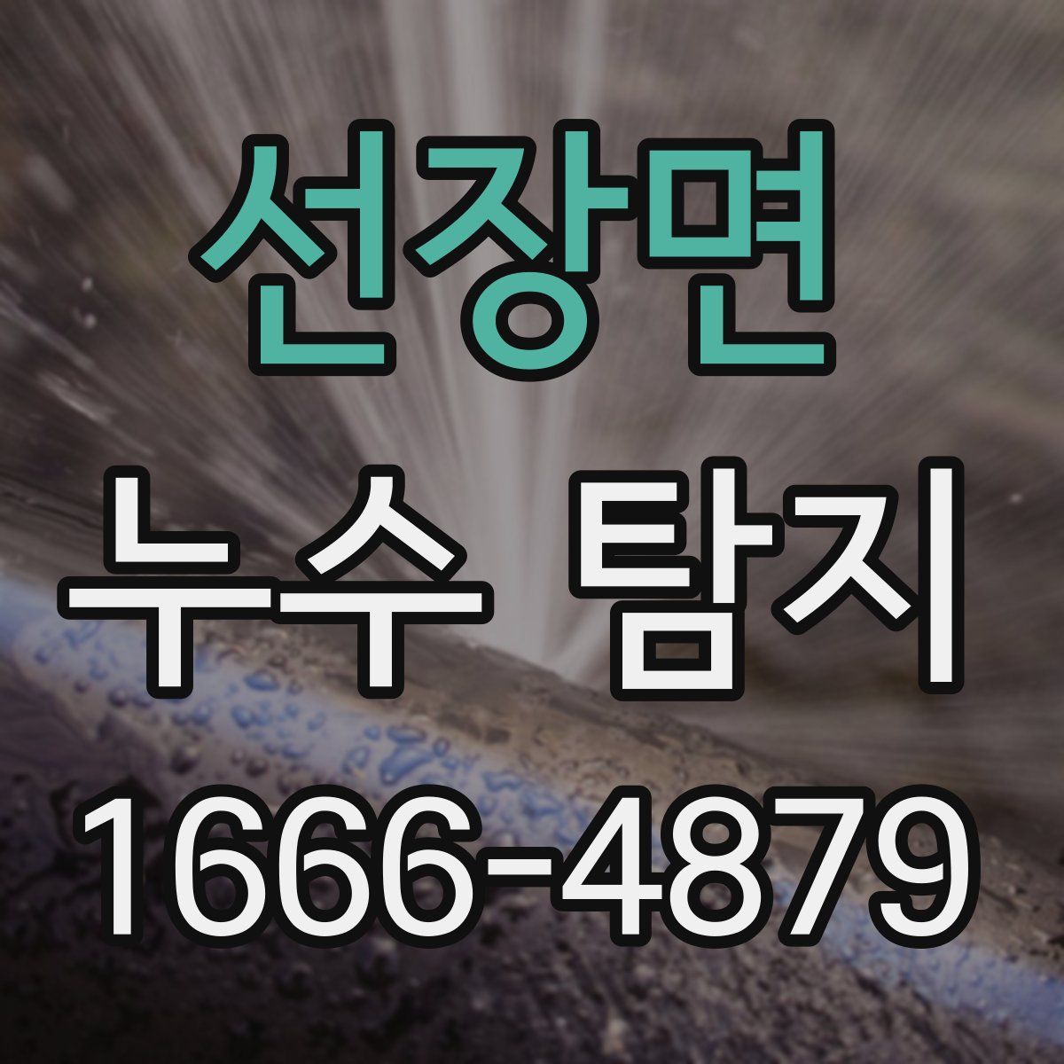 선장면 누수 탐지