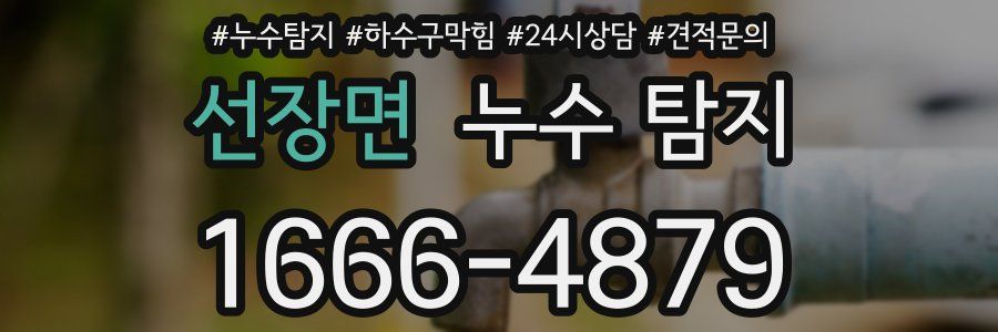 선장면 누수 탐지