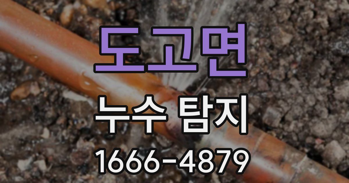 도고면 누수 탐지