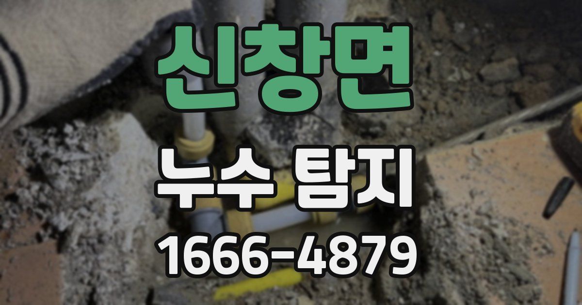 신창면 누수 탐지