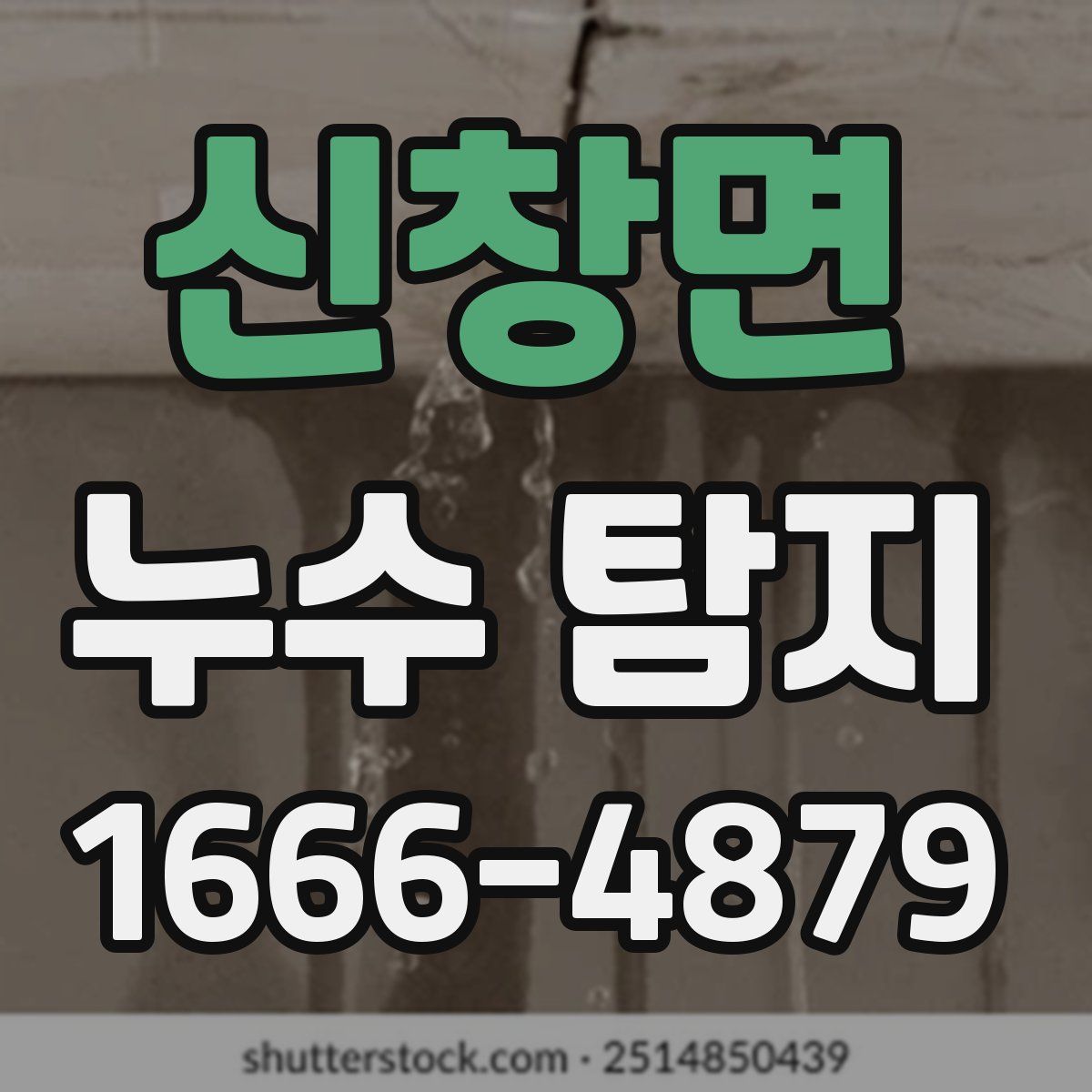 신창면 누수 탐지