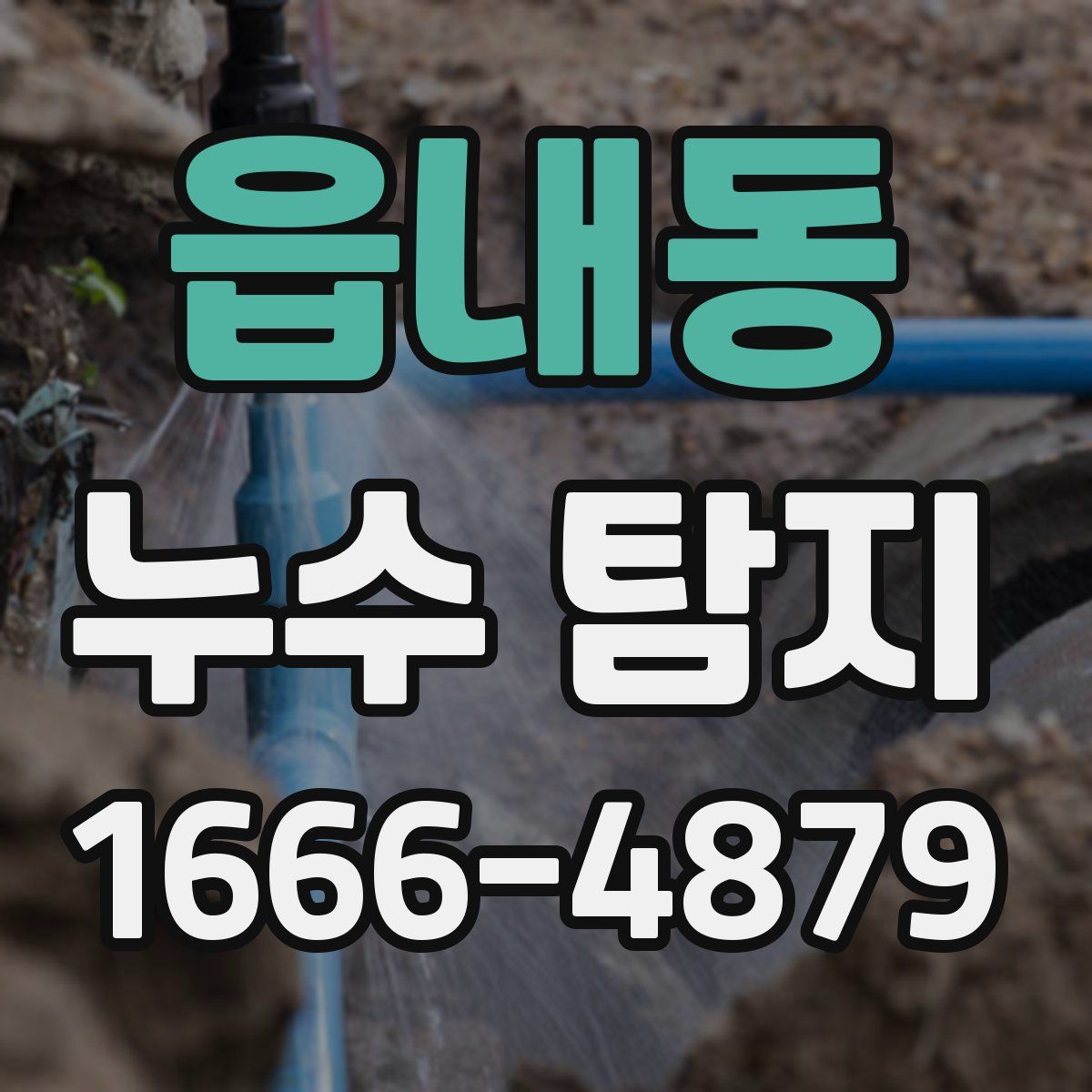 읍내동 누수 탐지