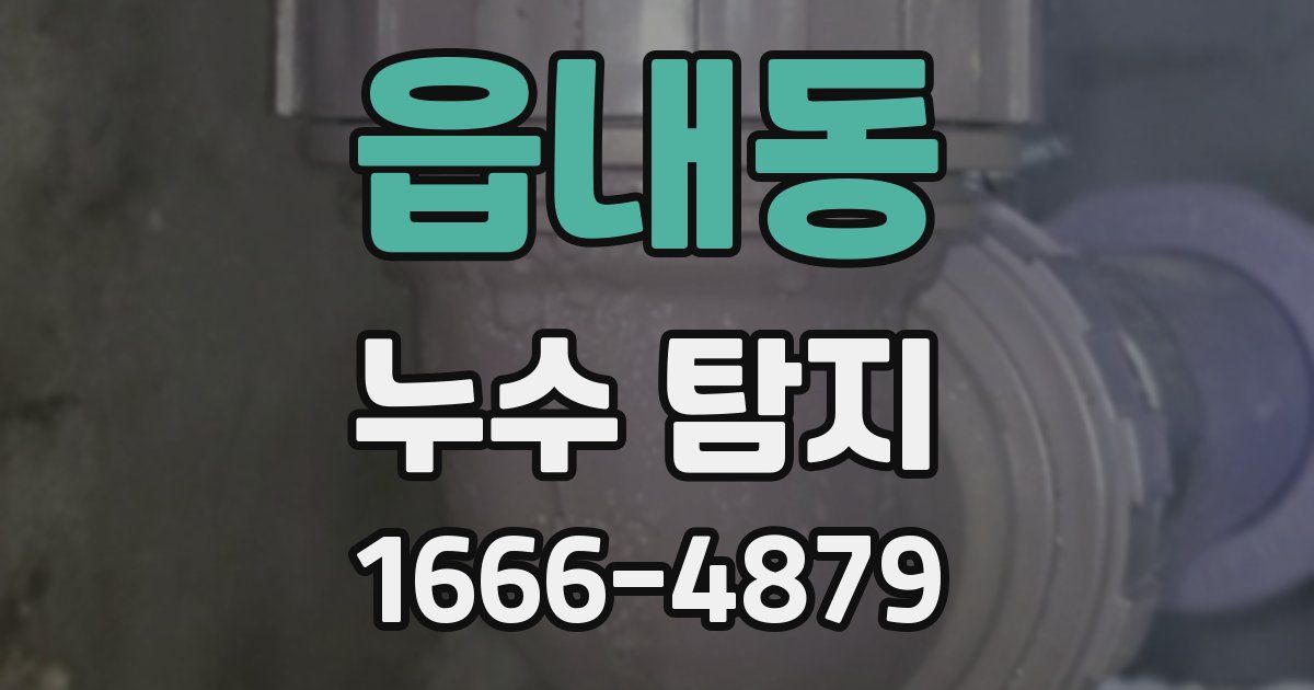 읍내동 누수 탐지